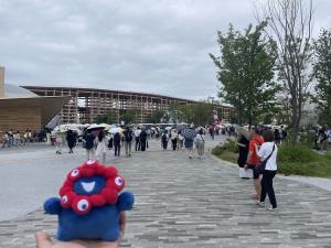 IMG_6819.jpg