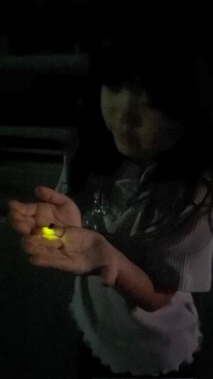 image2.jpeg