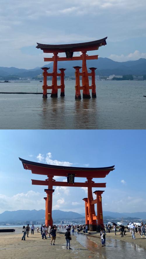 miyajima.jpegのサムネイル画像