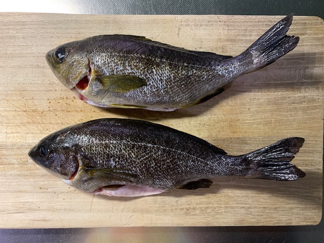 0705isaki.jpg