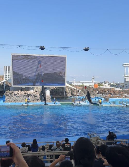 ショー.jpeg