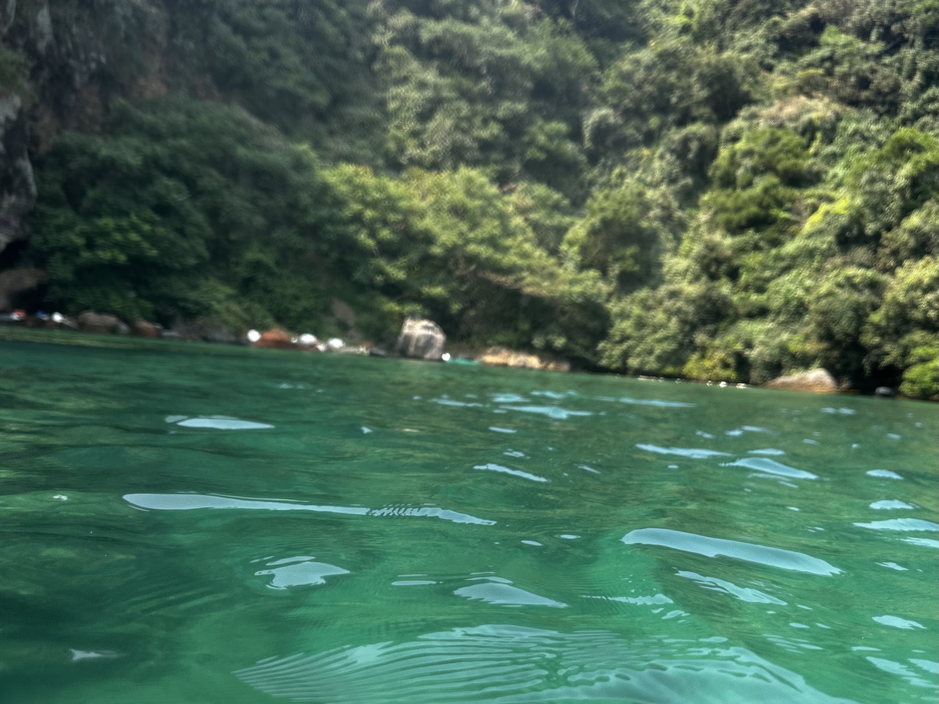 海.jpeg